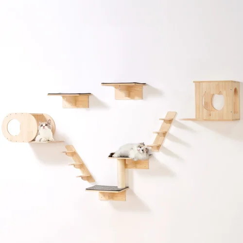 Wall-Mounted Cat Climbing Shelves