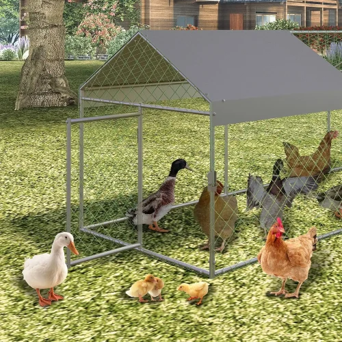 Large Walk-In Chicken Coop