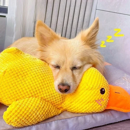 Bite-Resistant Duck Dog Toy