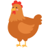 chicken (1)